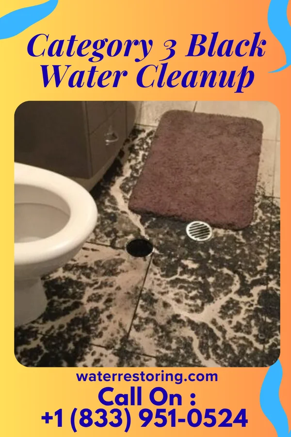 Category 3 Black Water Cleanup in Stone City, IA