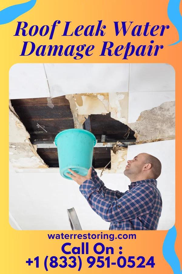 Roof Leak Water Damage Repair in Stone City, IA