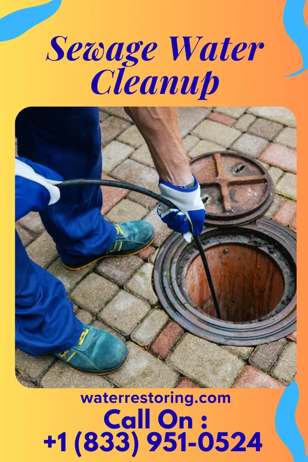 Sewage Water Cleanup in Stone City, IA